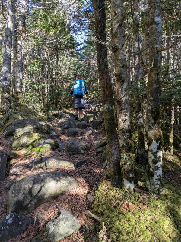 茶臼山・縞枯山