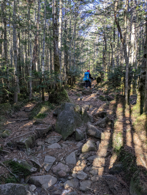 茶臼山・縞枯山