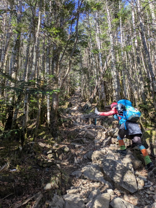 茶臼山・縞枯山