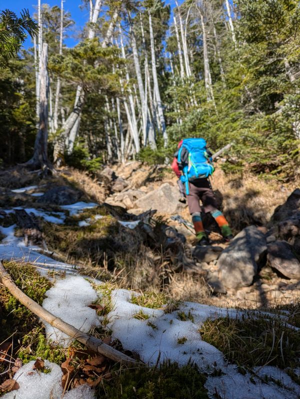 茶臼山・縞枯山