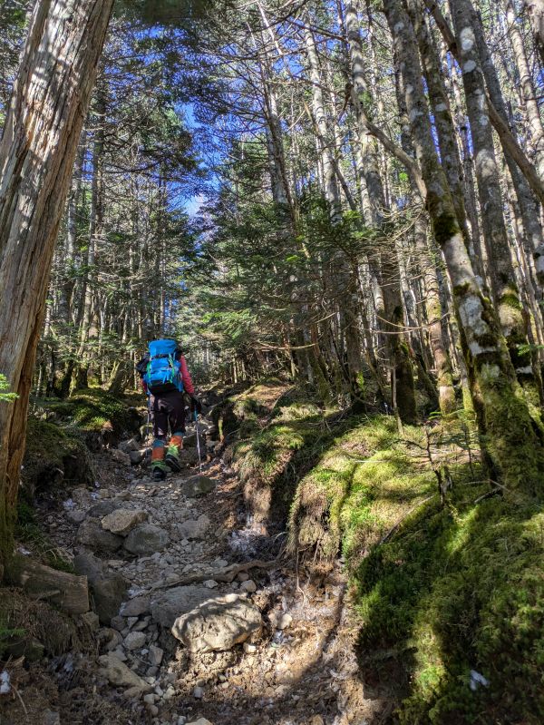 茶臼山・縞枯山