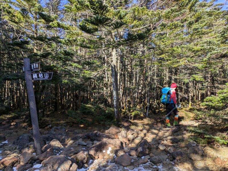 茶臼山・縞枯山