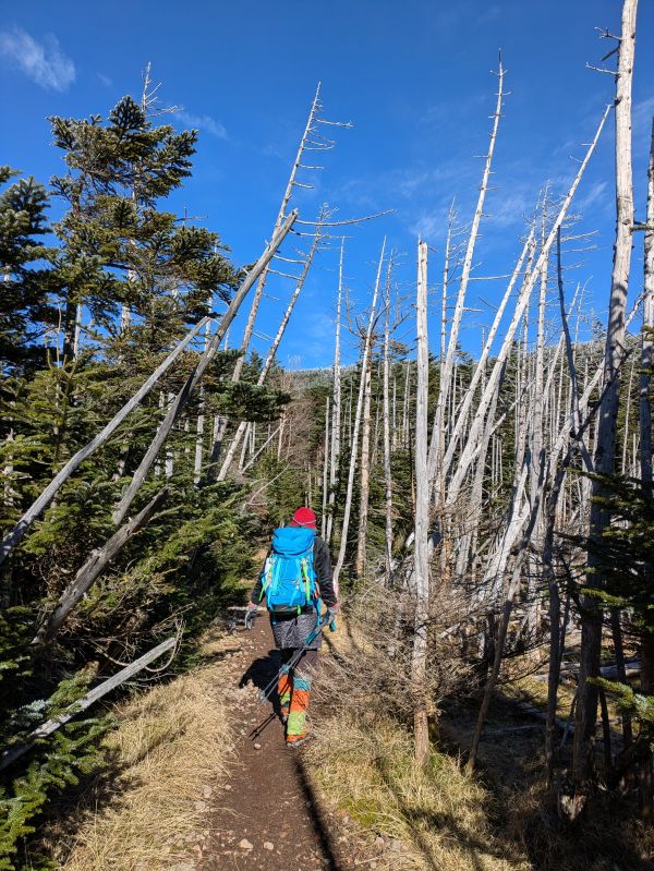 茶臼山・縞枯山