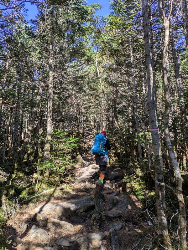 茶臼山・縞枯山