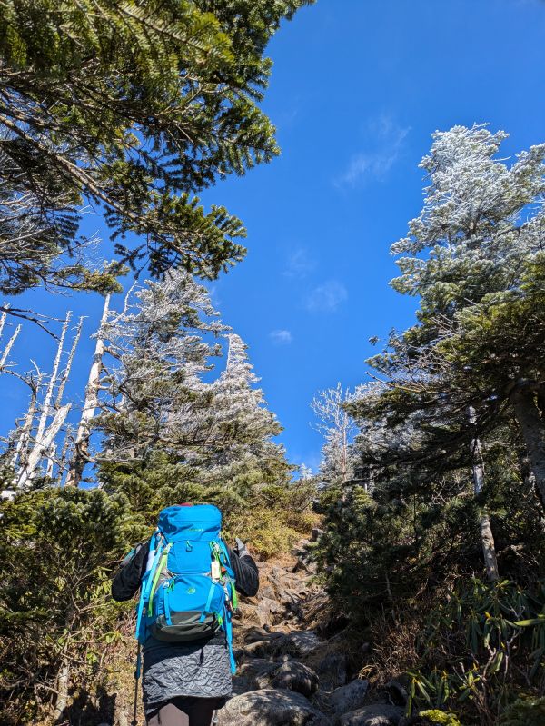 茶臼山・縞枯山