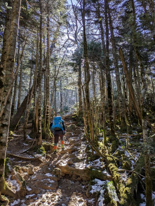 茶臼山・縞枯山