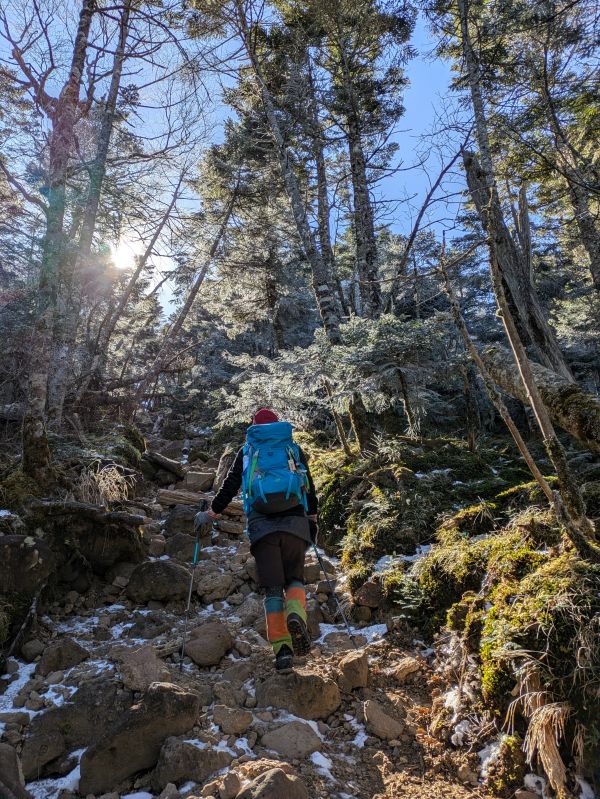 茶臼山・縞枯山