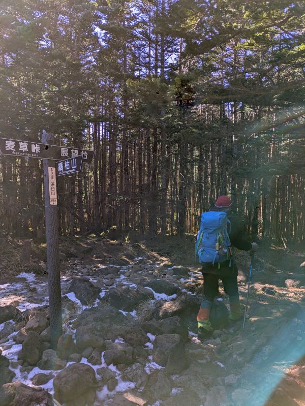 茶臼山・縞枯山