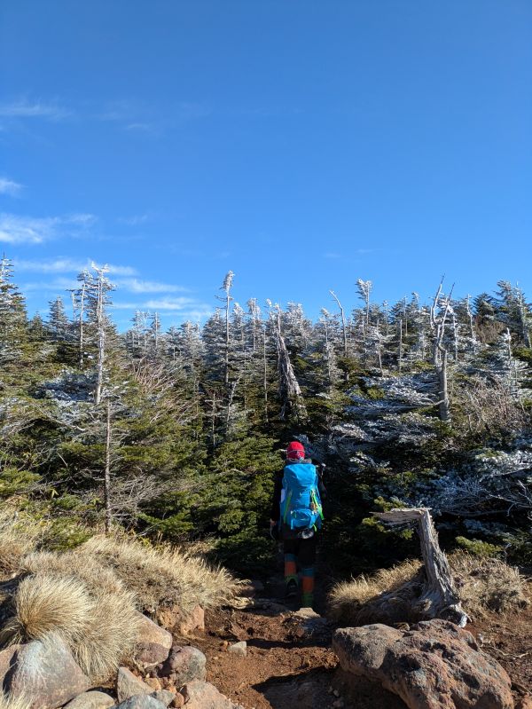 茶臼山・縞枯山