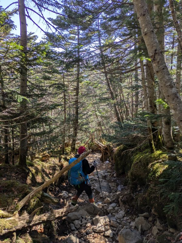 茶臼山・縞枯山