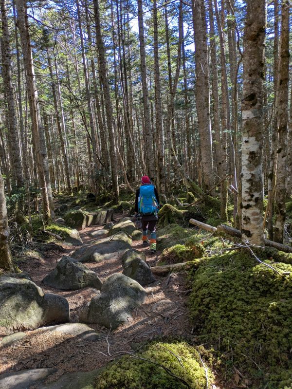 茶臼山・縞枯山