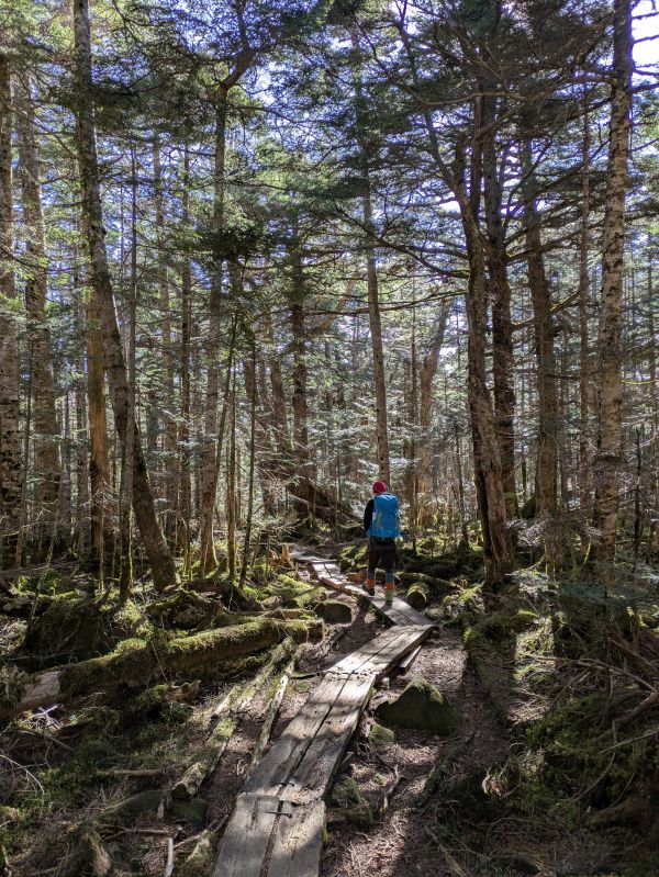 茶臼山・縞枯山