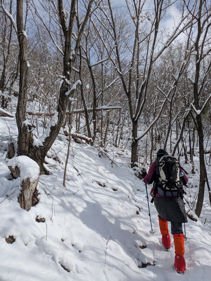 大音寺山・大正山