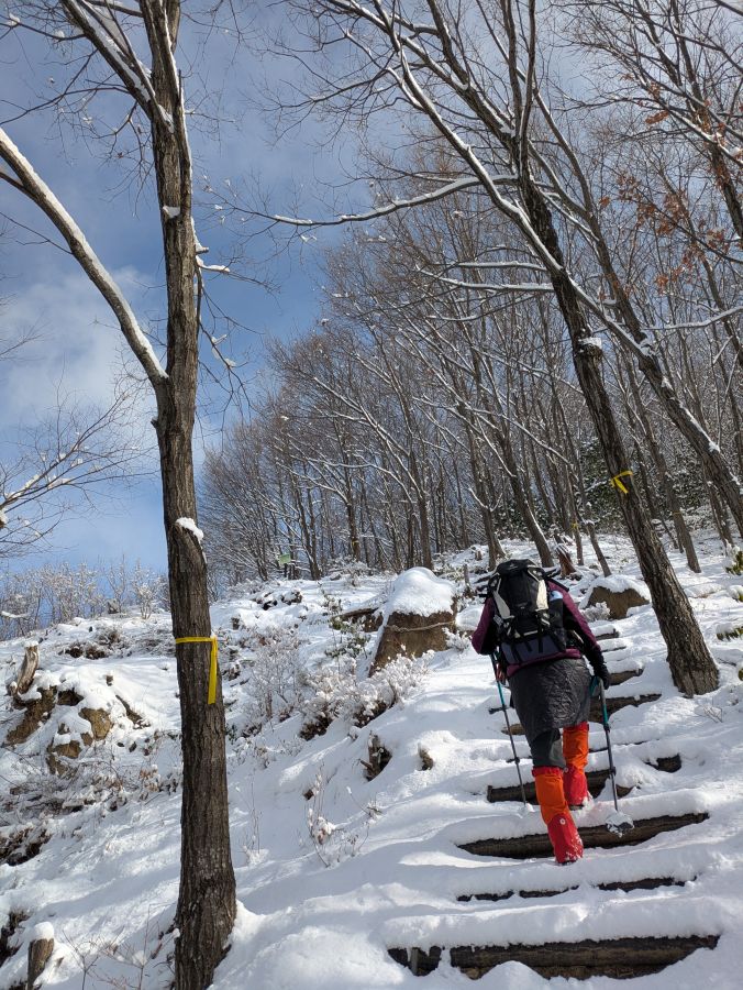 大音寺山・大正山