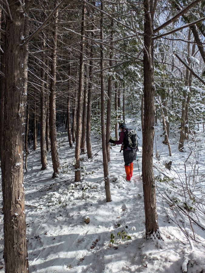 大音寺山・大正山