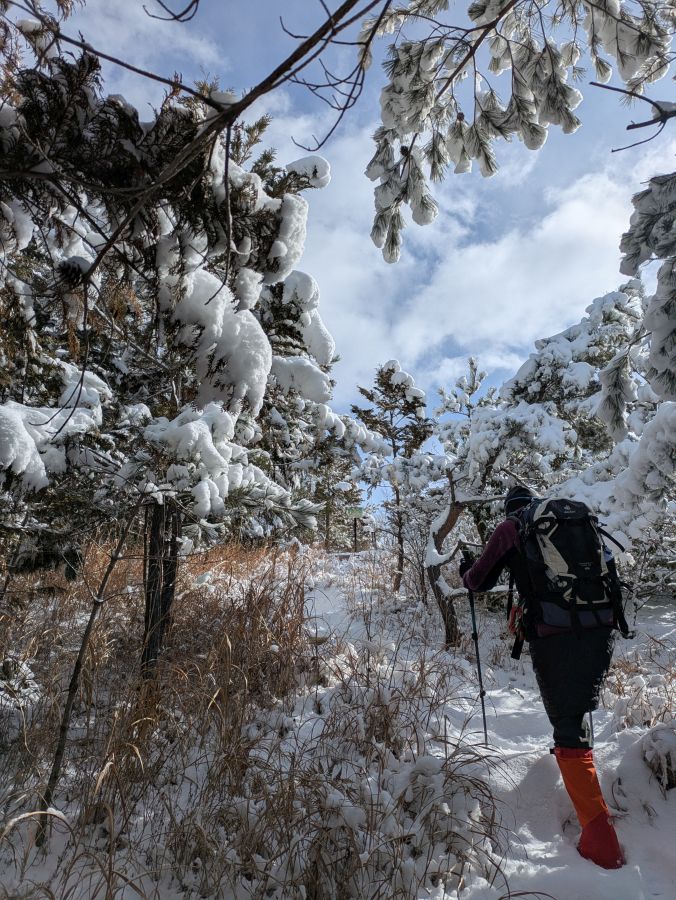 大音寺山・大正山
