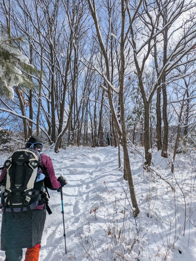 大音寺山・大正山