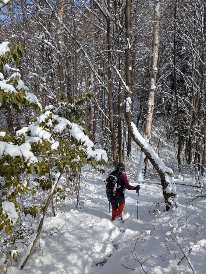 大音寺山・大正山