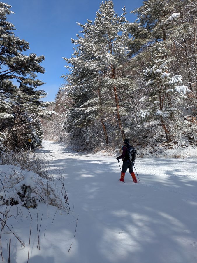 大音寺山・大正山