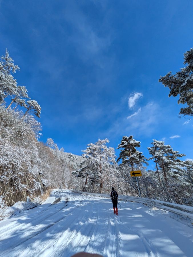 大音寺山・大正山