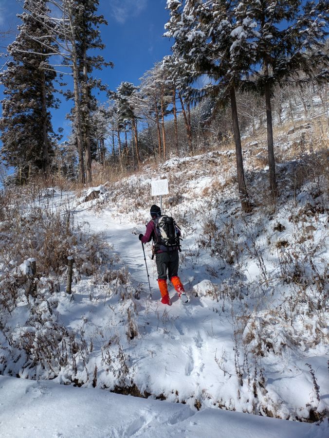 大音寺山・大正山