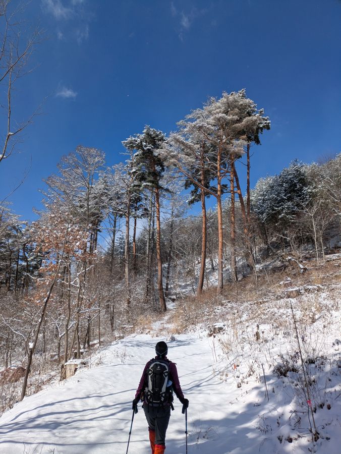 大音寺山・大正山