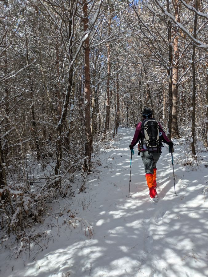大音寺山・大正山