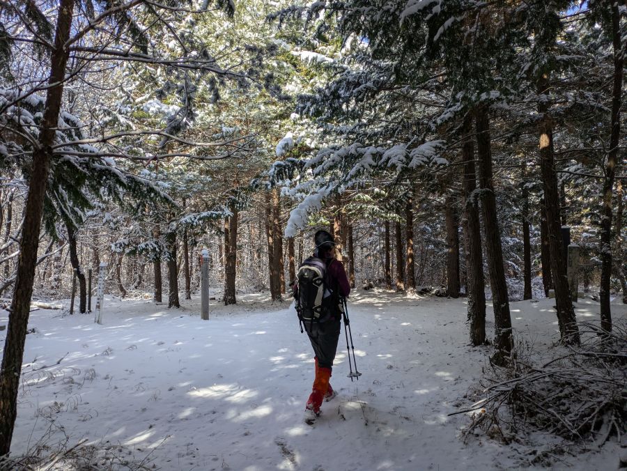 大音寺山・大正山