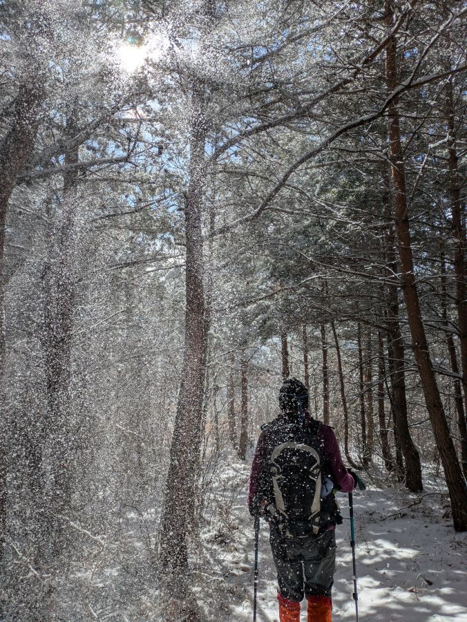 大音寺山・大正山