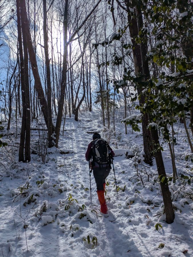 大音寺山・大正山