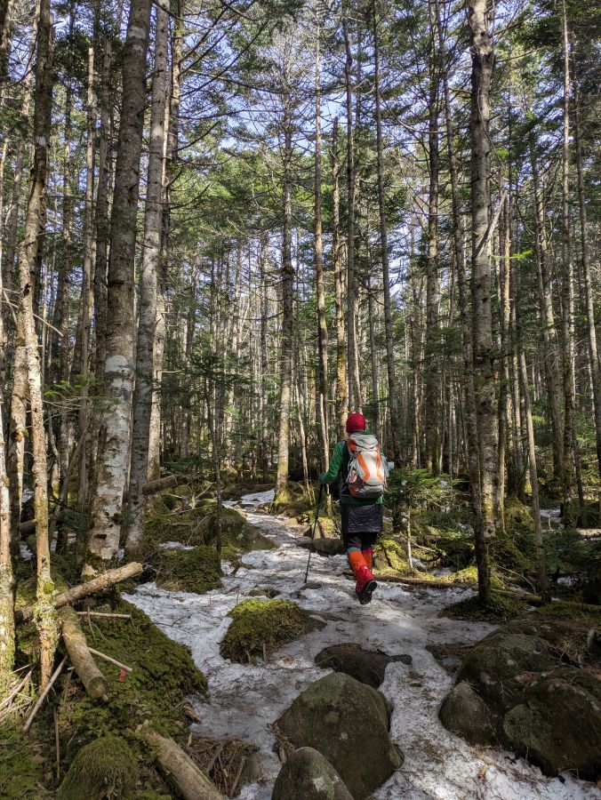 茶臼山・縞枯山