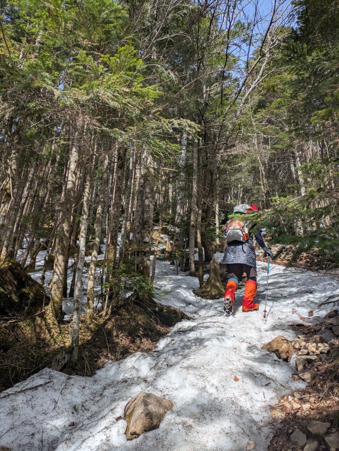 茶臼山・縞枯山