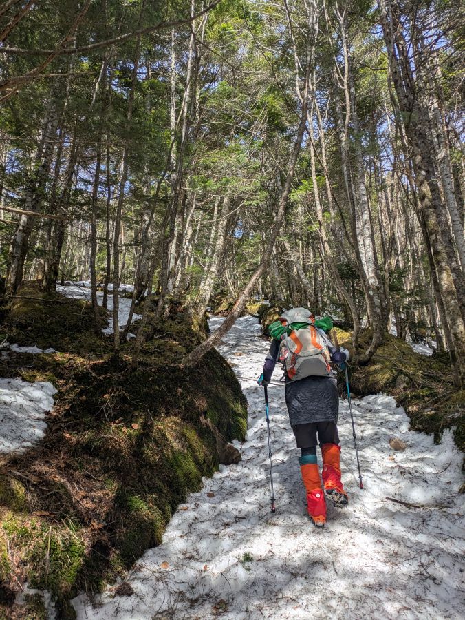 茶臼山・縞枯山