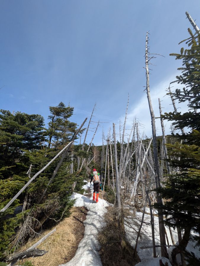 茶臼山・縞枯山