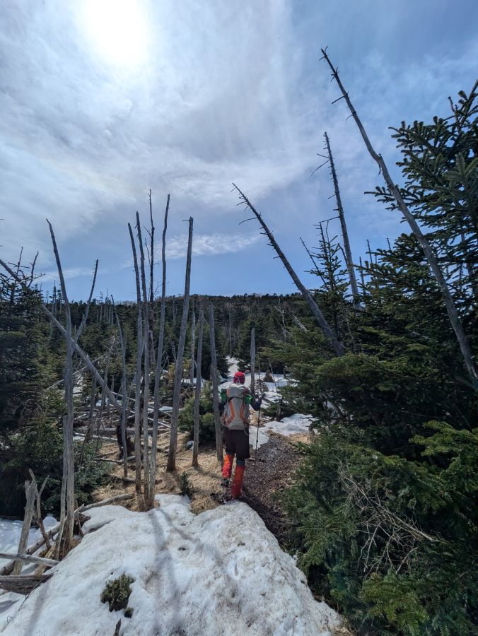 茶臼山・縞枯山