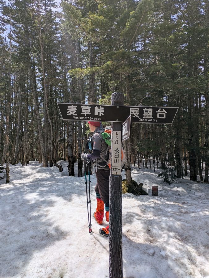 茶臼山・縞枯山
