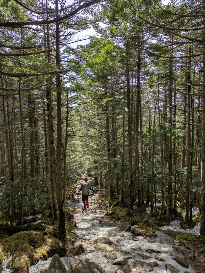 茶臼山・縞枯山