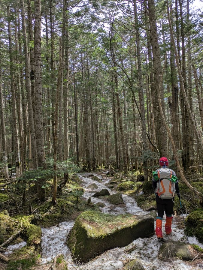 茶臼山・縞枯山