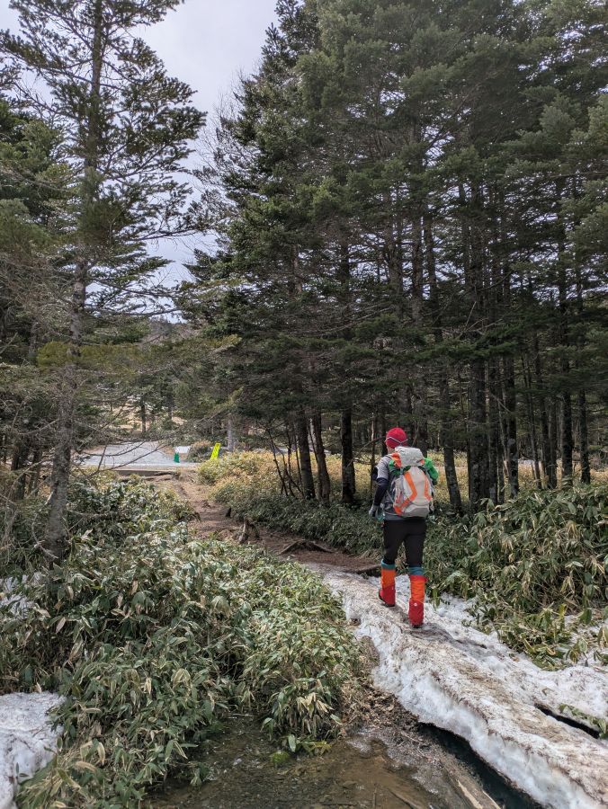 茶臼山・縞枯山