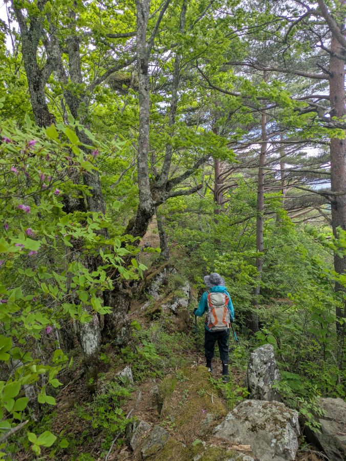 御陵山