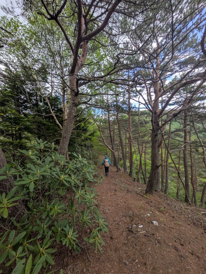 御陵山