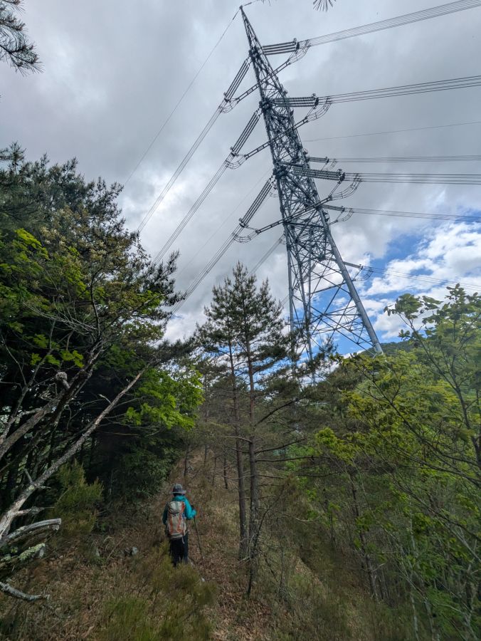 御陵山
