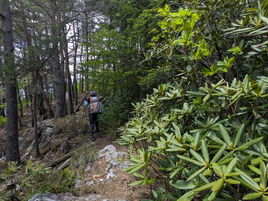 御陵山