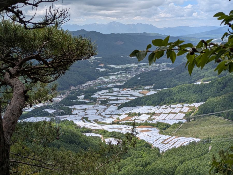 御陵山