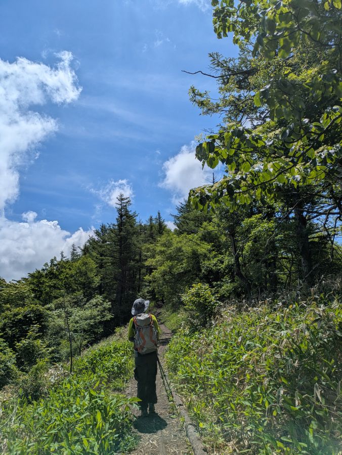 平沢山