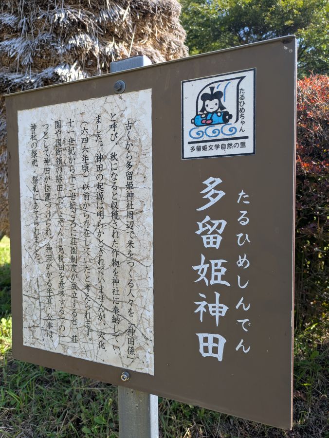 大泉山