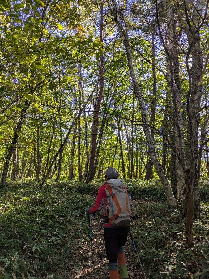 編笠山