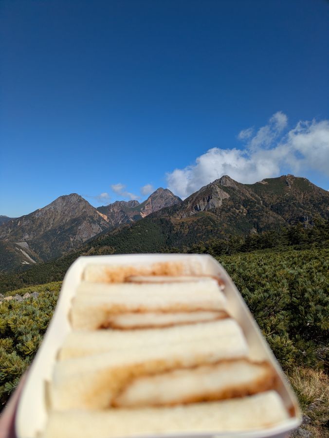 編笠山