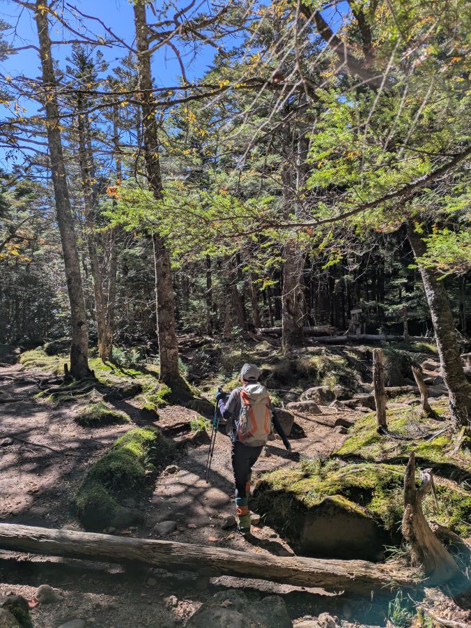 編笠山