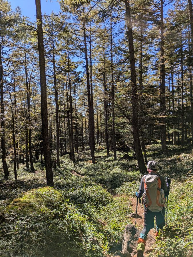 編笠山
